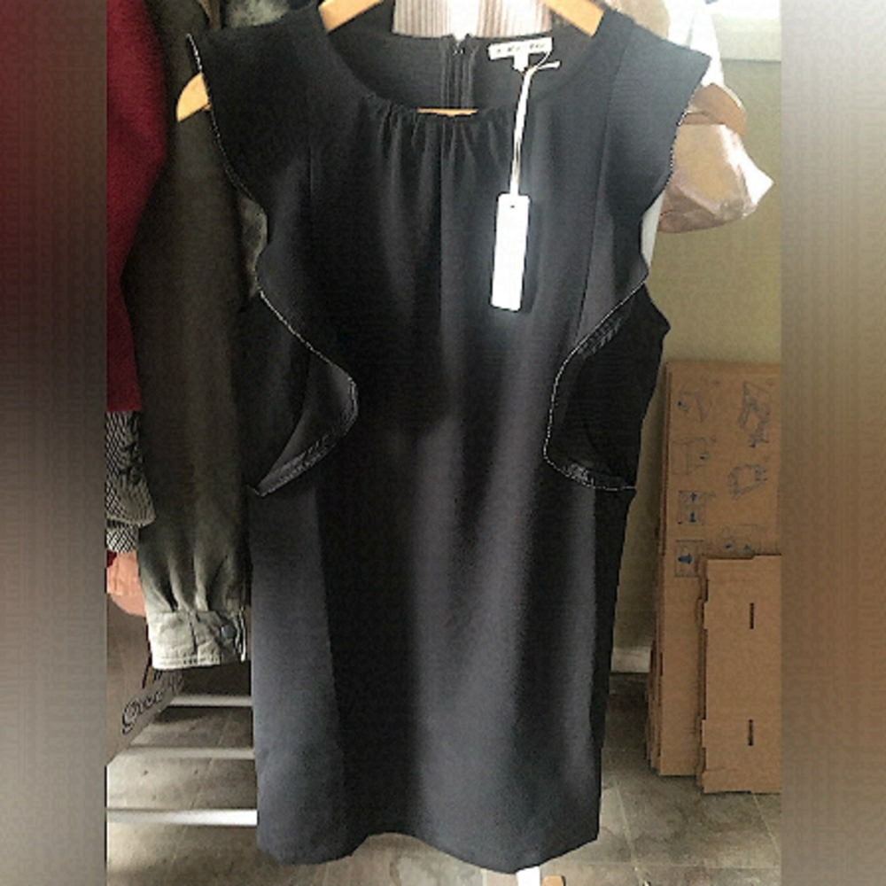 BLACK SWAN NWT ruffle sleeve dress